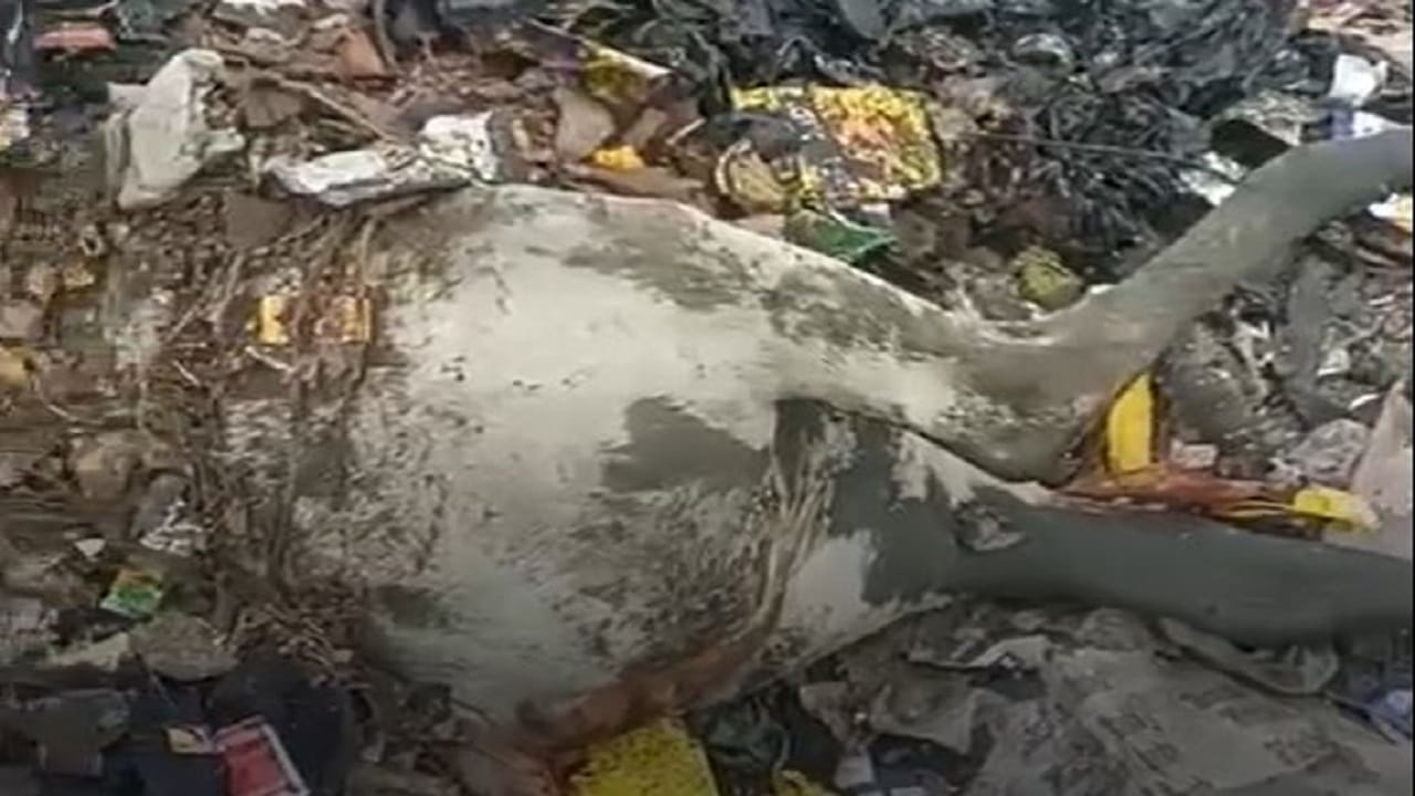 गौरक्षा मुस्लिम विरोधी राजनितिक हथियार है